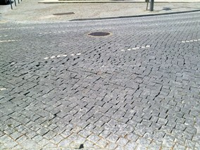 Pel movedica.jpg